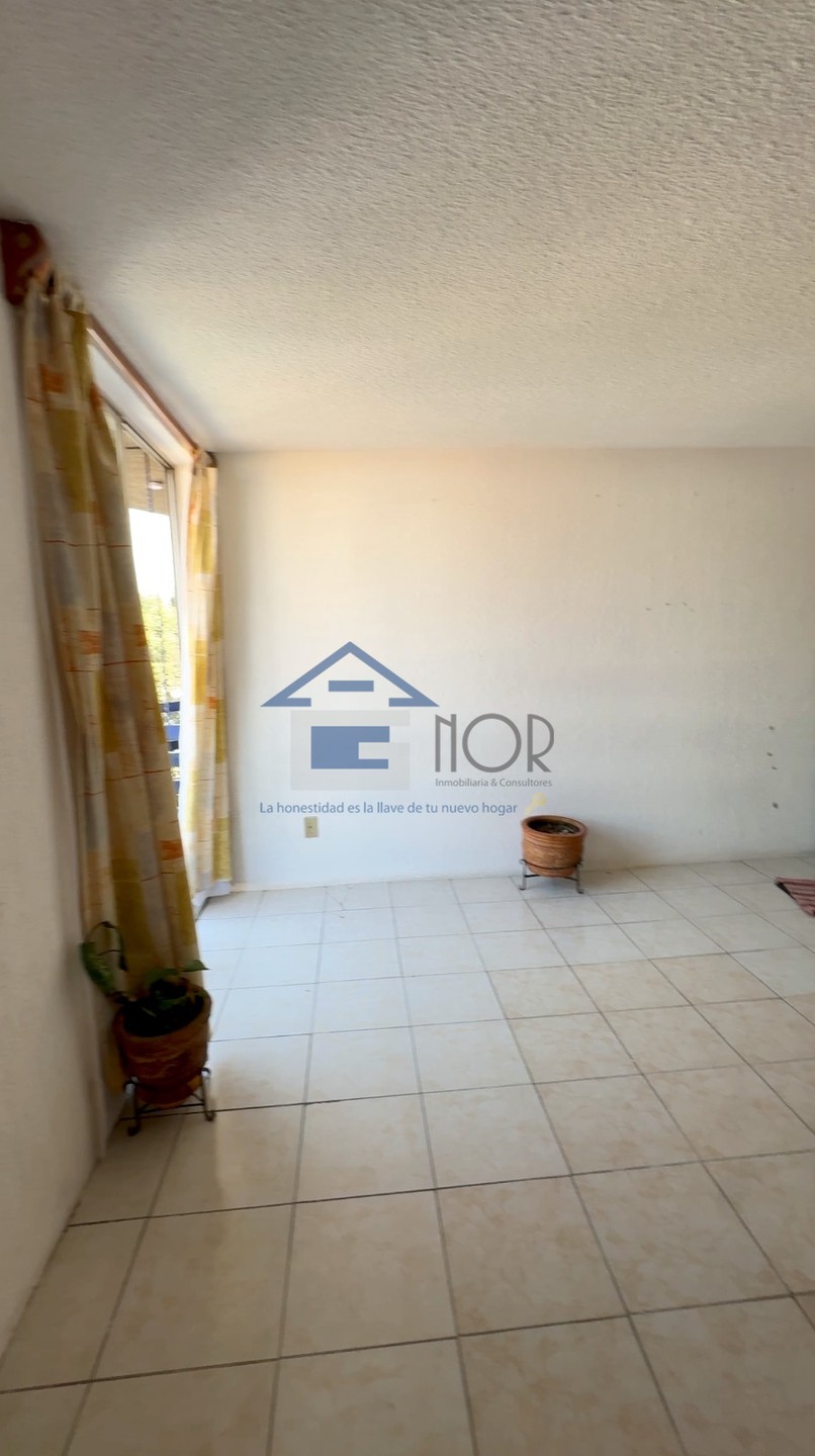 ROSA TARTARA, MOLINO DE ROSAS - foto 5