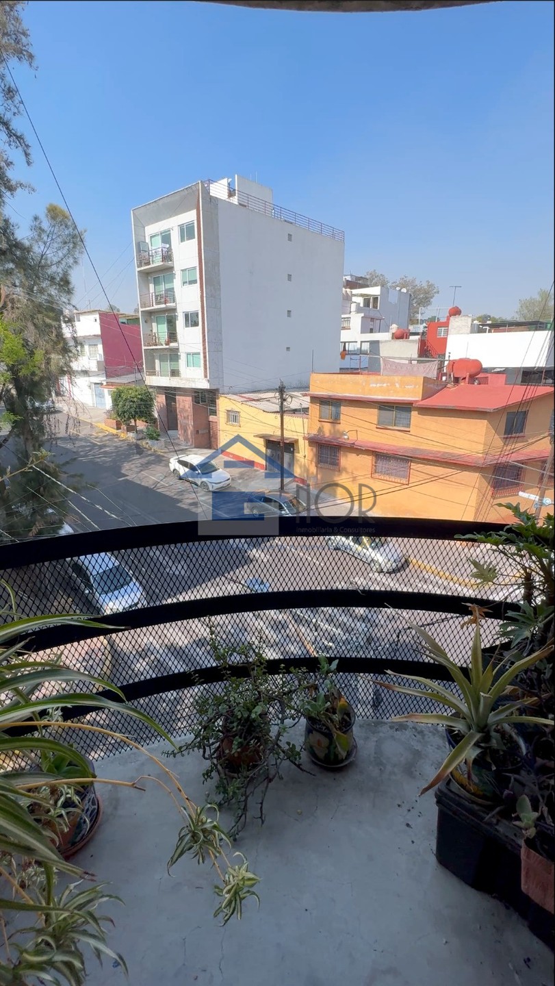 ROSA TARTARA, MOLINO DE ROSAS