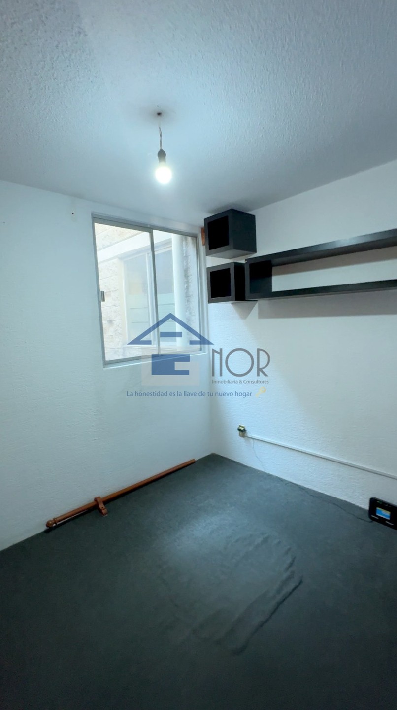 ROSA TARTARA, MOLINO DE ROSAS - foto 2