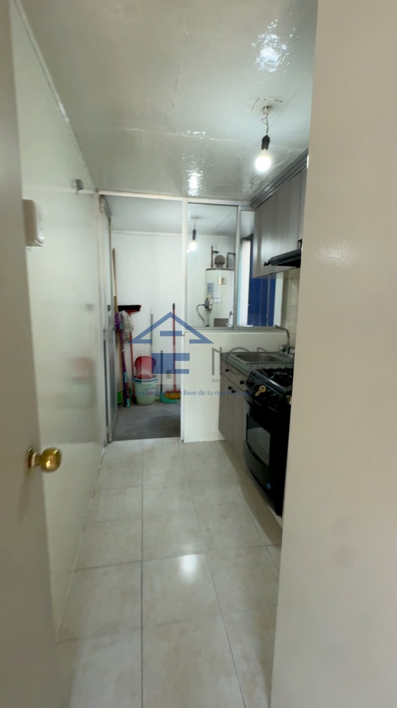 ROSA TARTARA, MOLINO DE ROSAS - foto 3