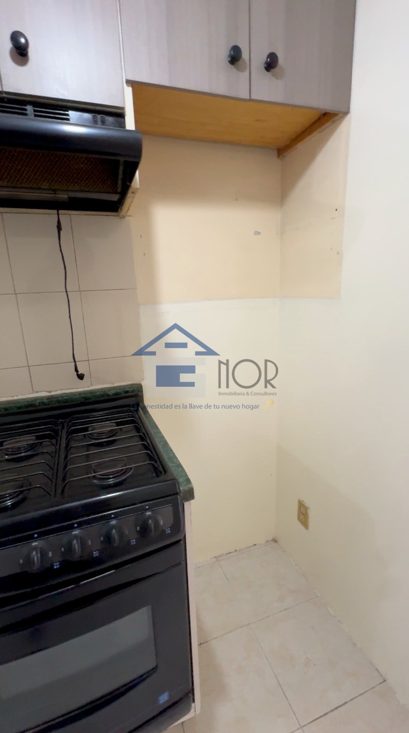 ROSA TARTARA, MOLINO DE ROSAS - foto 4