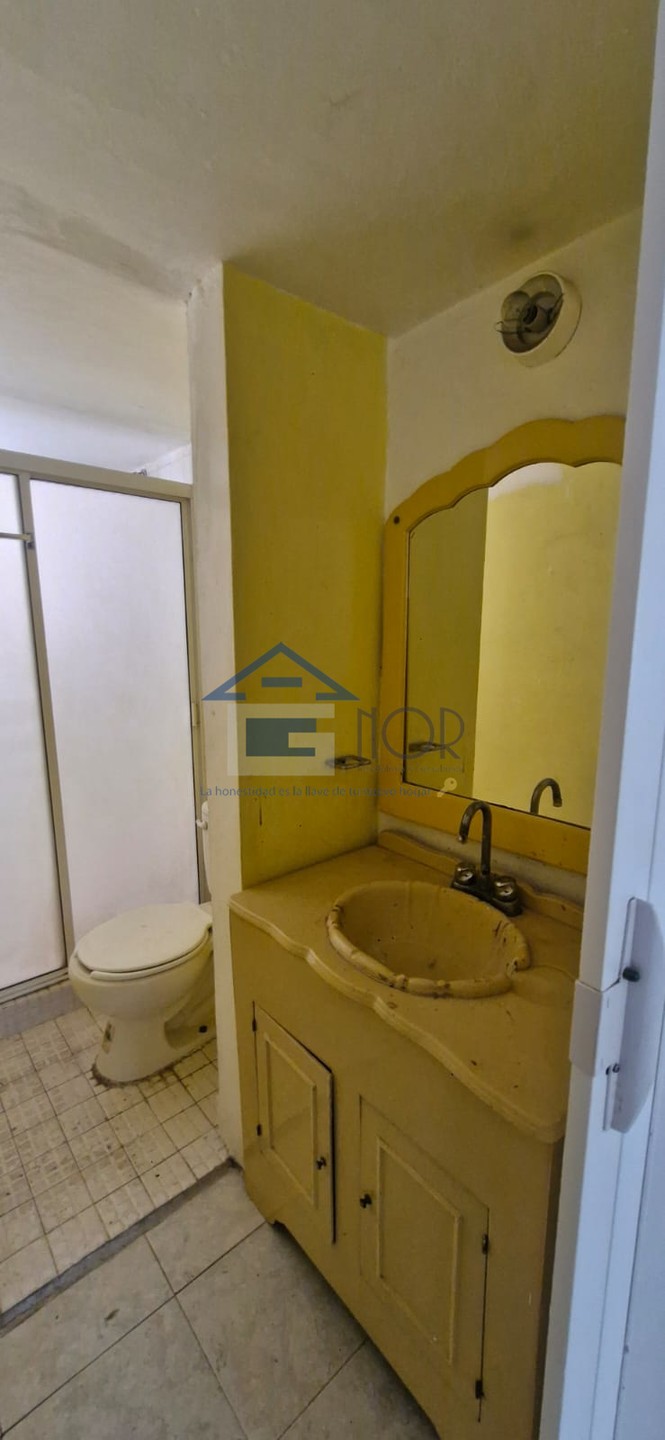 ARBOLILLO II - foto 2