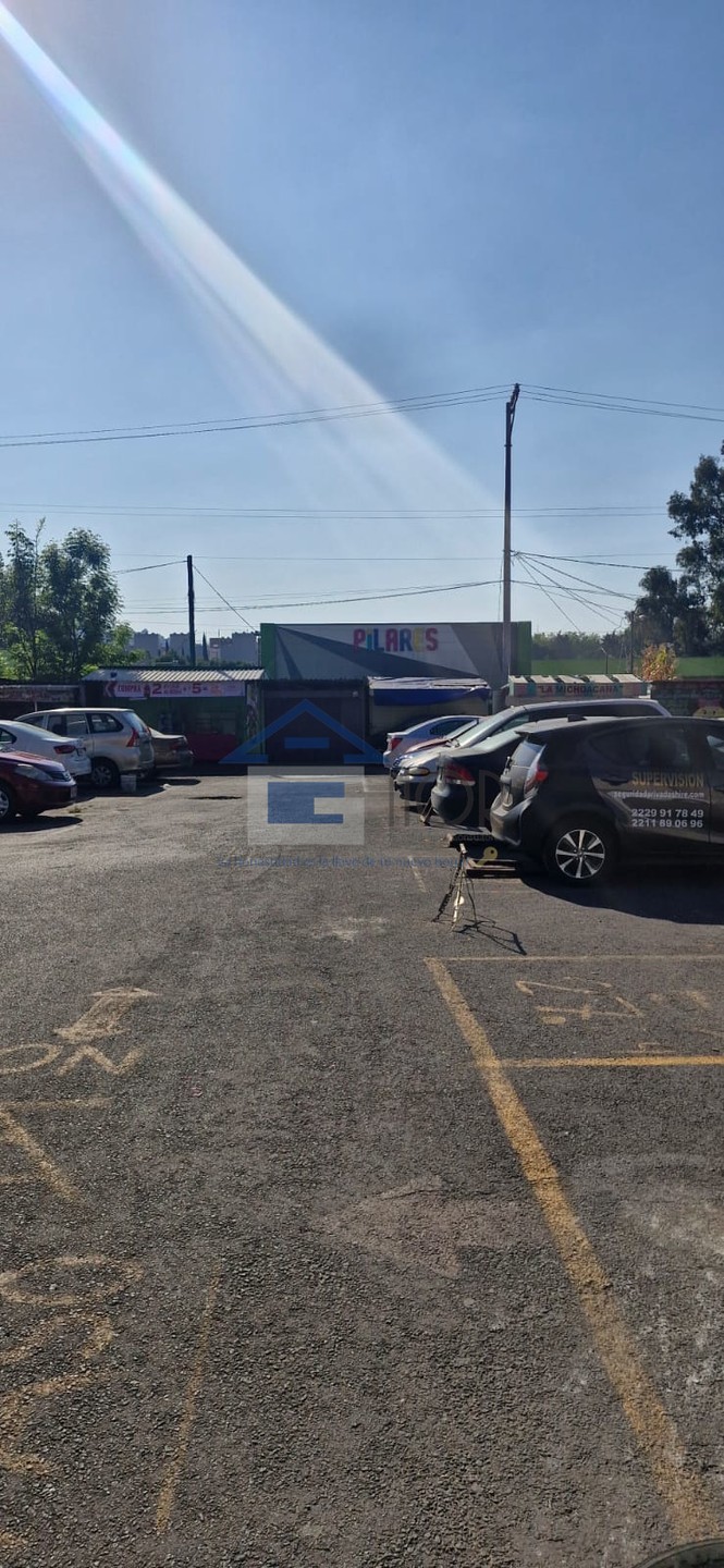 ARBOLILLO II - foto 5